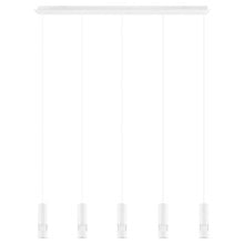 Bernabeta 5 Light Pendant